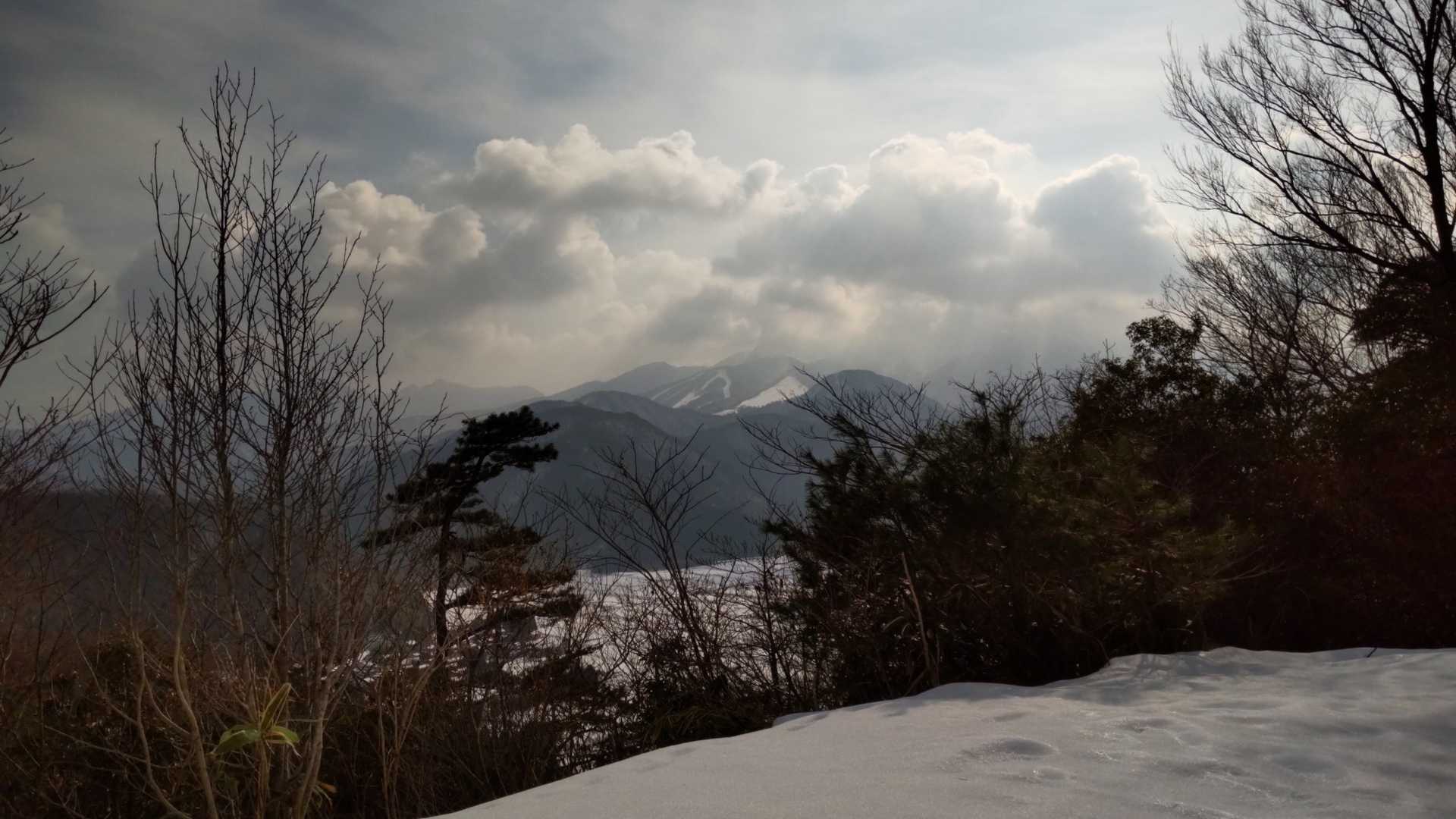 昨日とは打って変わって
今日は恥ずかしがり屋の大山さん