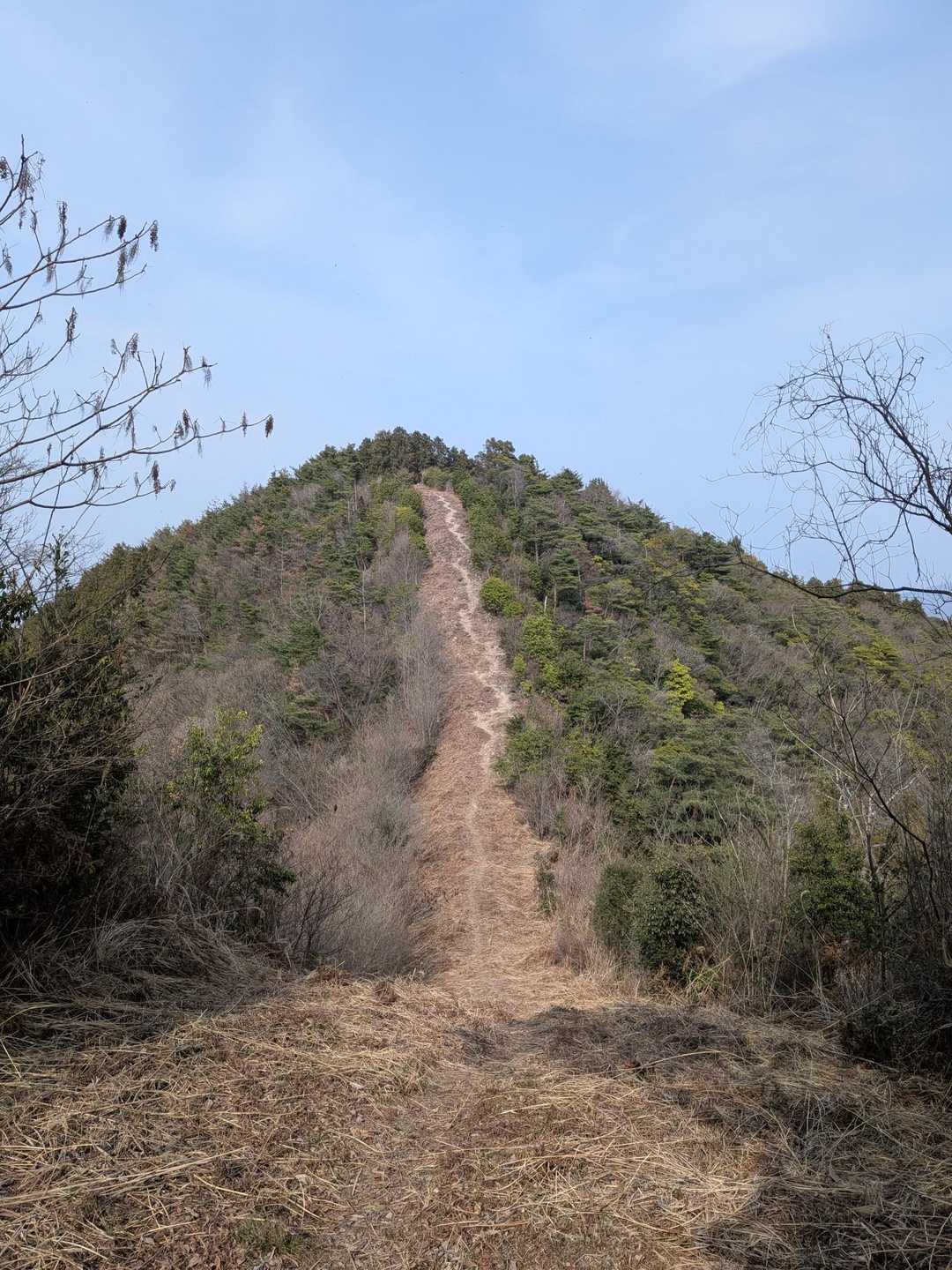 ４座全て、この様なビックリする程の痺れる急登の繰り返しでした💦
登山道は、整備されています🆗😊