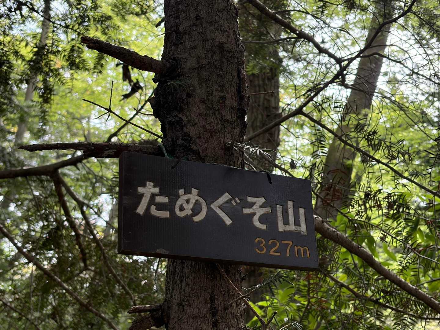 噂の　ためぐそ山　💩

なかなかインパクト大のお名前ですが、たしかにタメフンがちらほら笑
タヌキが多いのかな