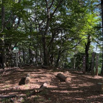 あっという間に滝戸山