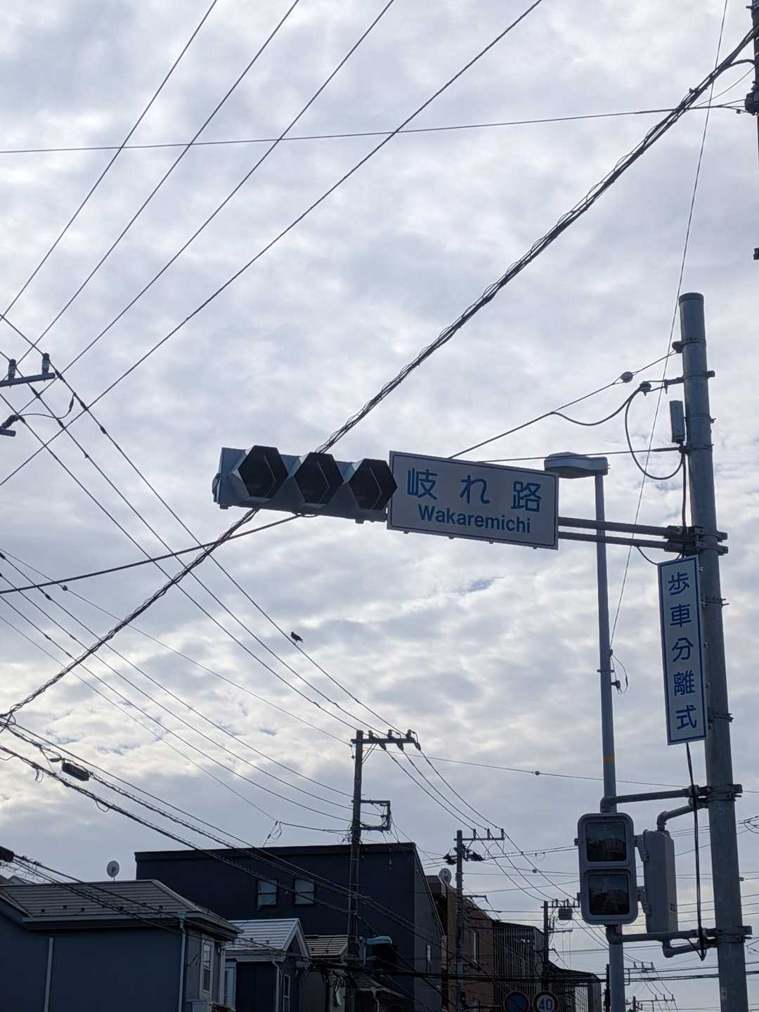 この交差点、「わかれみち」っていう名前。なんか切なくないですか？