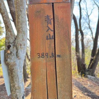 青入山（あおいりやま、389.5m）