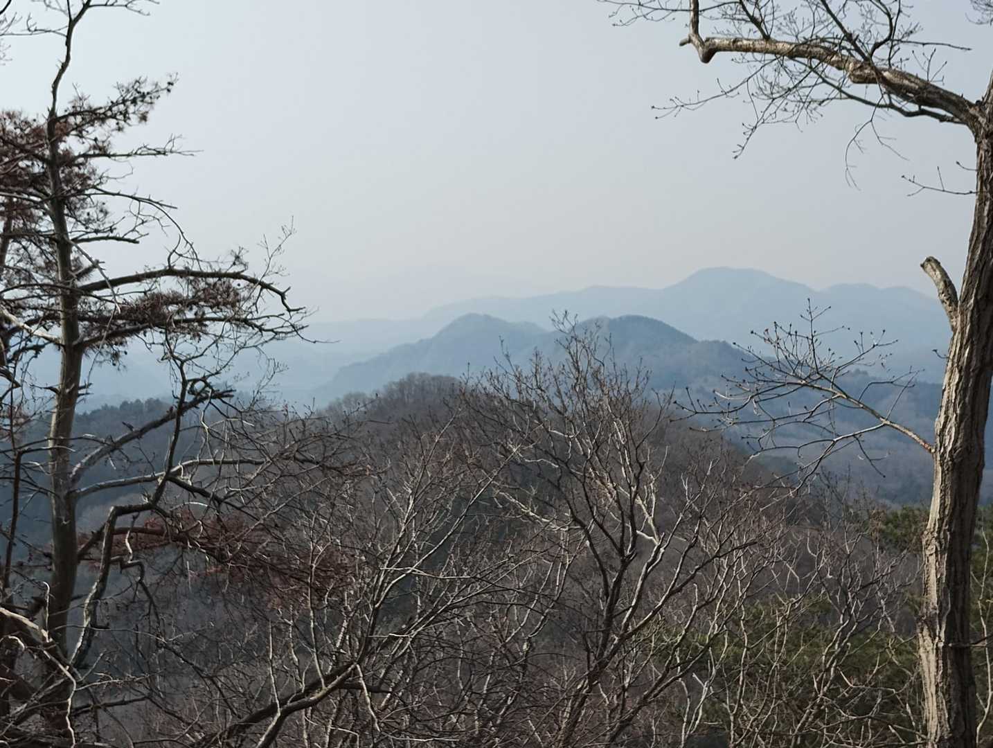 稜線からの景色です😀
霞掛かっていて幻想的な風景です✨