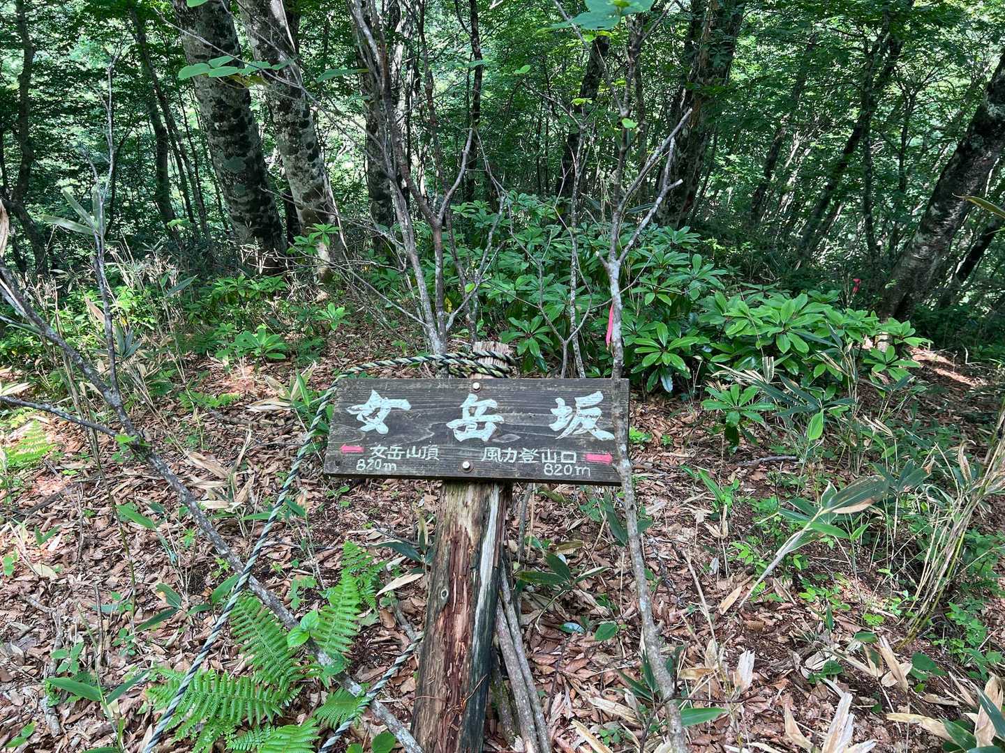 女岳坂

男岳坂よりも急な気がします