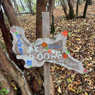 嬉しい看板☺️