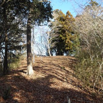 息を切らしつつ日連金剛山山頂まで登り返してきた。