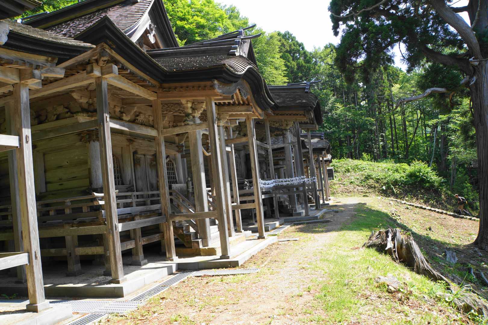 お山かけコース登山道入口-赤神神社 五社堂-本山 往復コースの写真