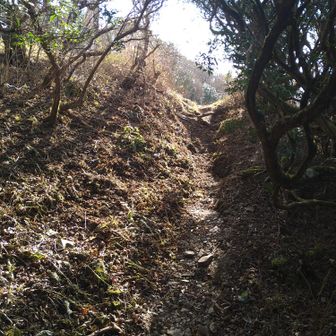 ここで登山道が終わり県道になります🚶