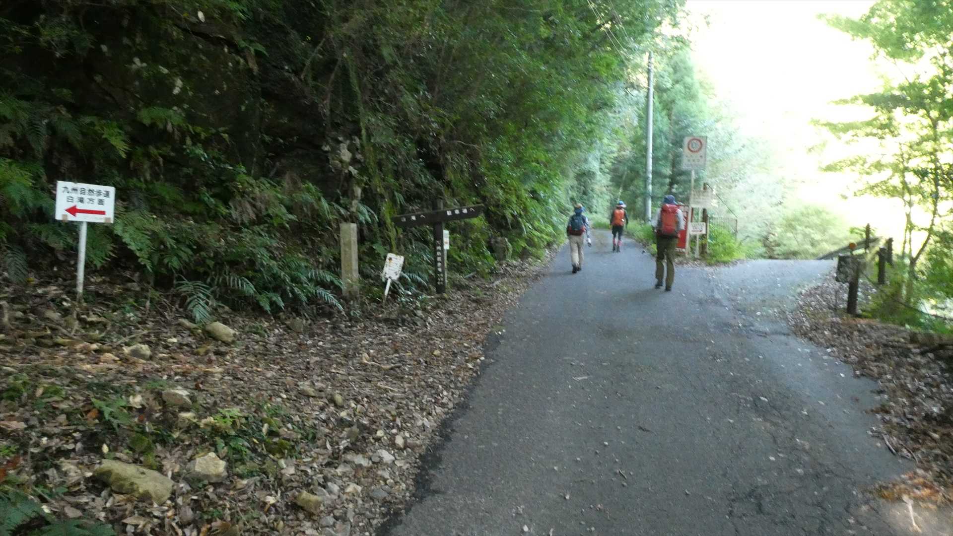 欅谷（白滝）コースと矢研の滝・尾鈴キャンプ場の分岐
ここを直進し尾鈴林道矢研支線分岐へ