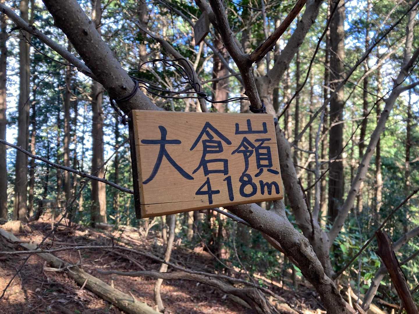 2座目⛰️ゲット✊🎉