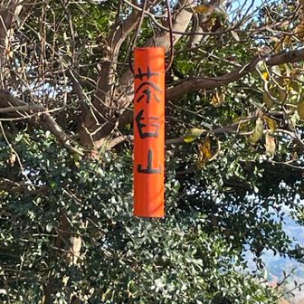 歩きながらも駐車場🅿️への最短ルートを探す私達

天使に会えたら大満足で ピークハントはどうでも良くなってしまい😅
とか言いながらも『疲れた』のがホントの理由笑