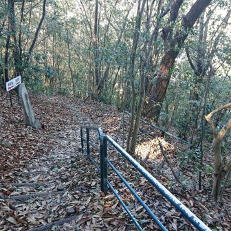 帰りは左の裏参道を降りる。