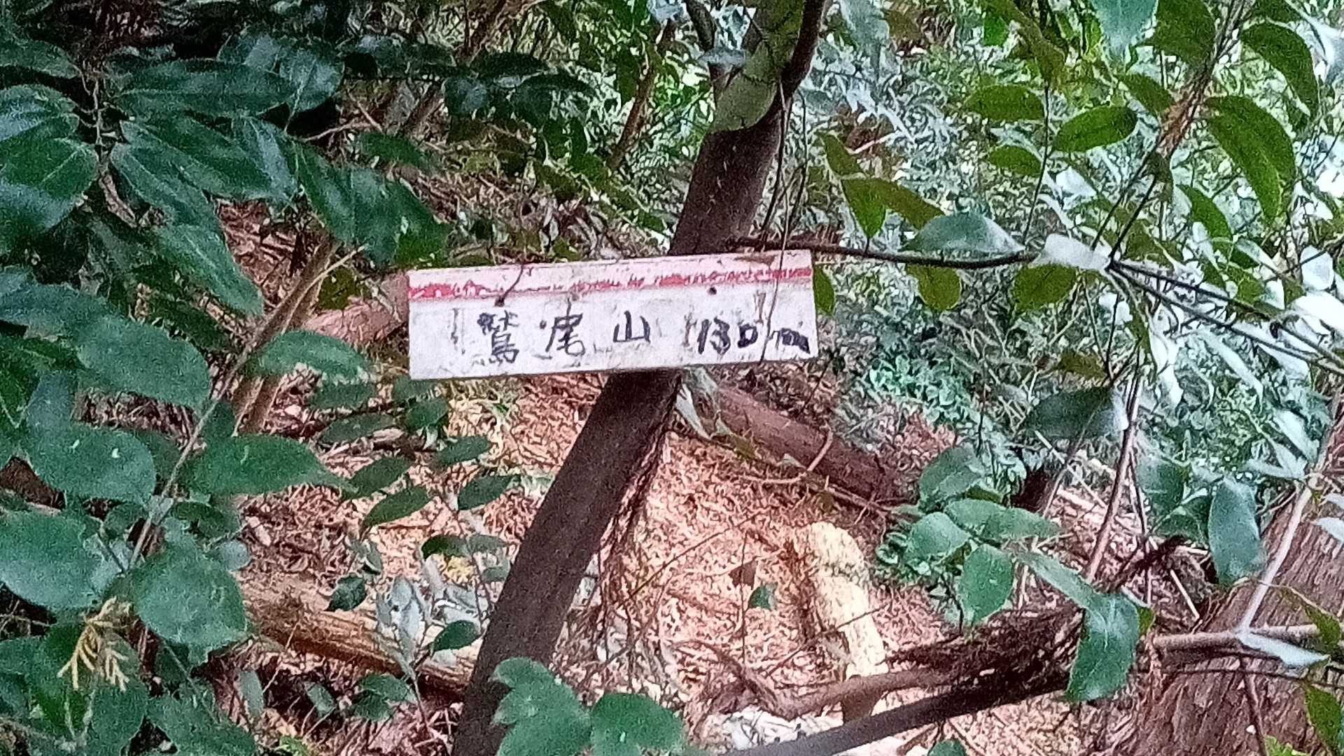 鷲尾山（福岡県）の写真