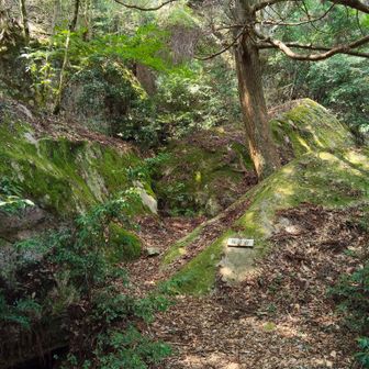 接待岩の様子