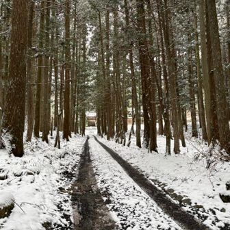 入り口までにしました。