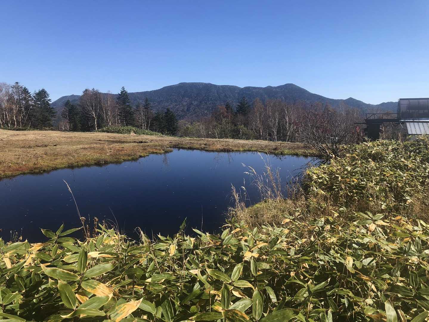 奥志賀高原ホテルバス停-焼額山 往復コースの写真
