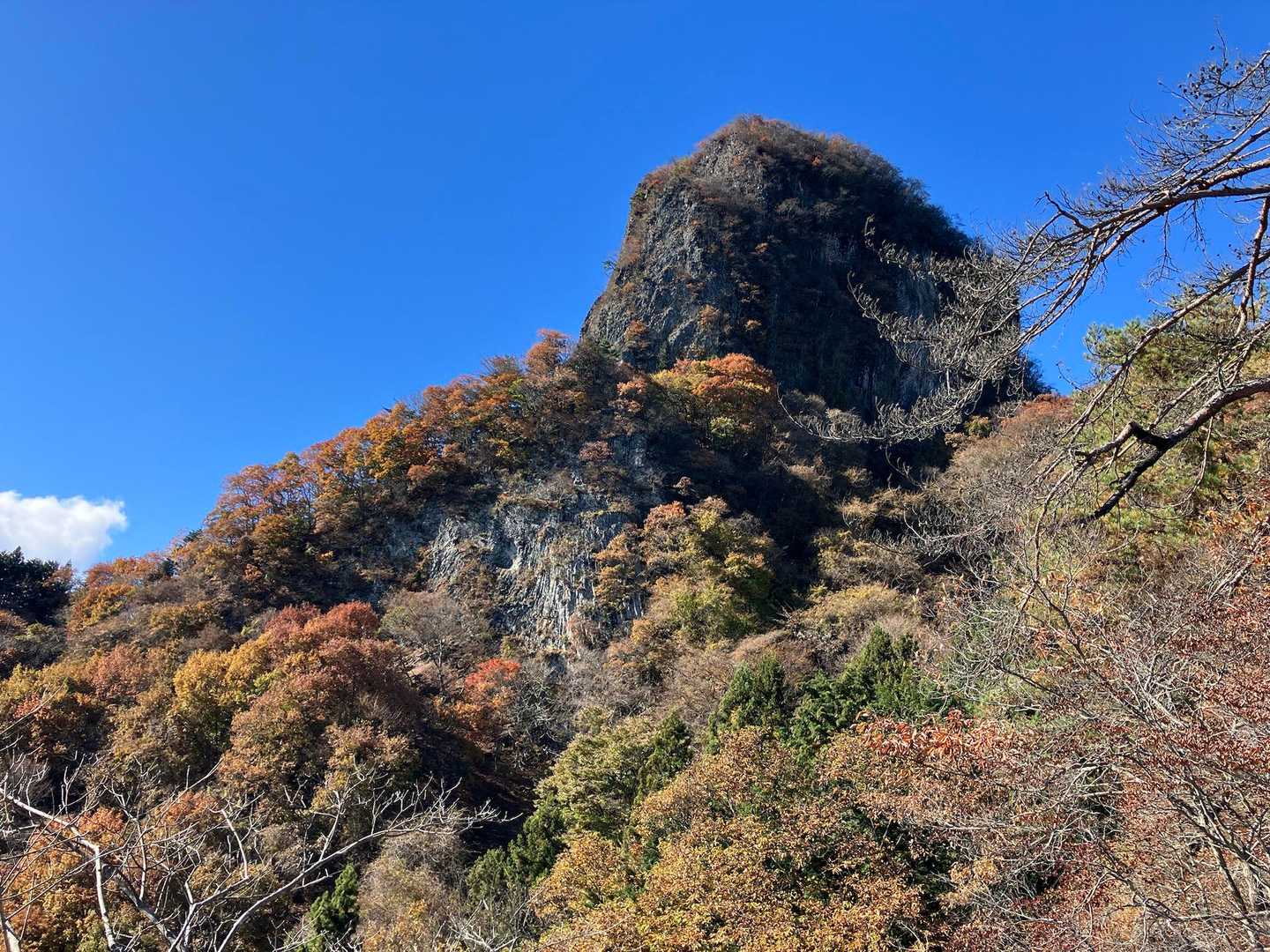 四ッ又山-鹿岳 縦走コースの写真
