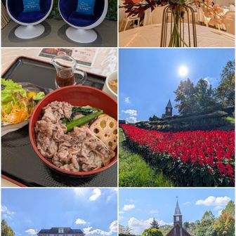 神戸蒸留所。

ランチはブライズハウス。
結婚式の披露宴会場風。
三田牛ステーキ丼。
メニュー写真の肉🍖とは全然ちがう薄切り肉でした。

サルビアとコスモスの美しさに、がっかりな心が癒され中。