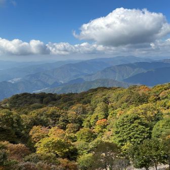 紅葉🍁はもうちょい　かな