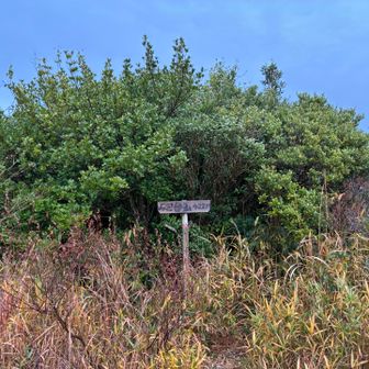 砲台山　ここまでは1人