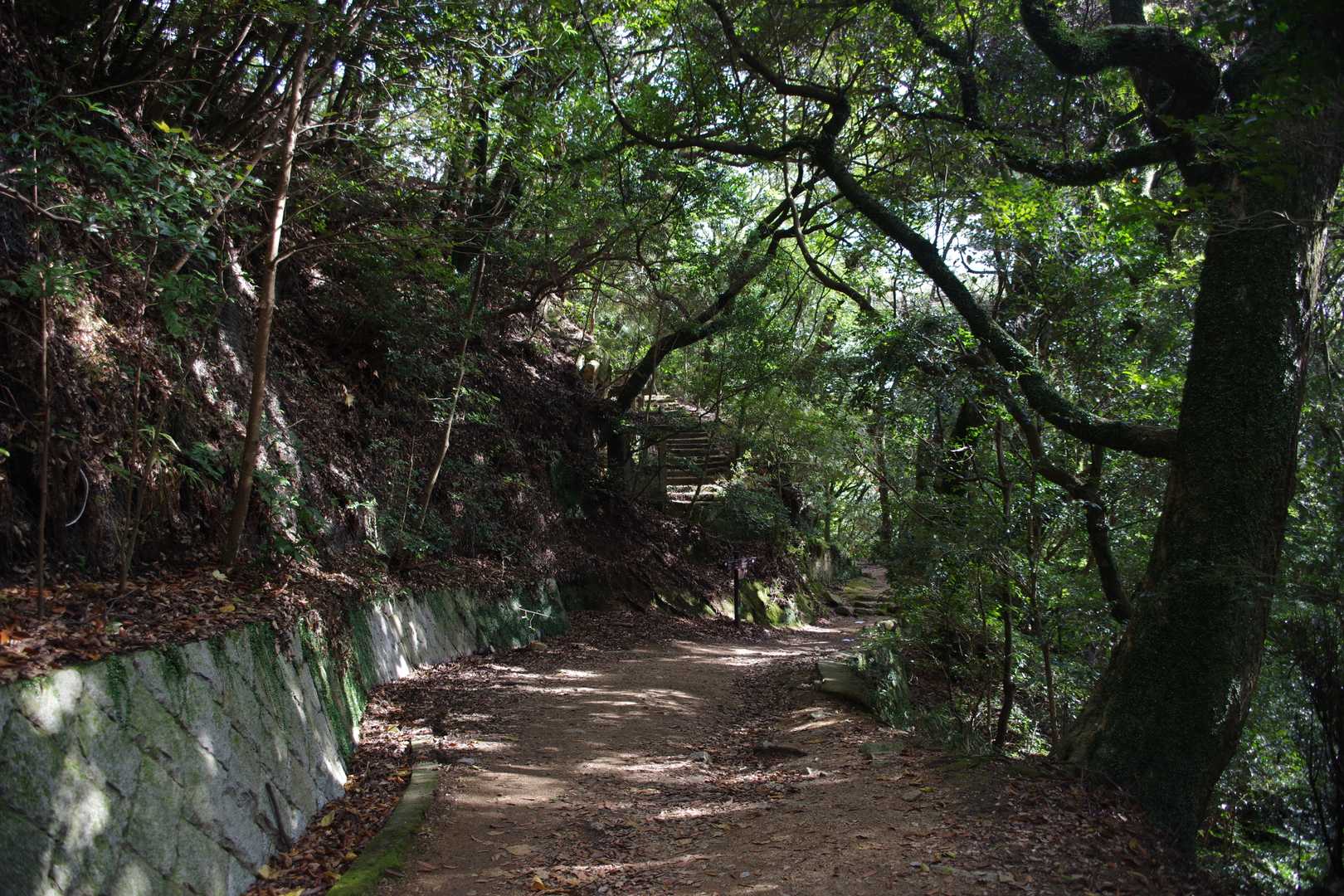 左　大龍寺へ
