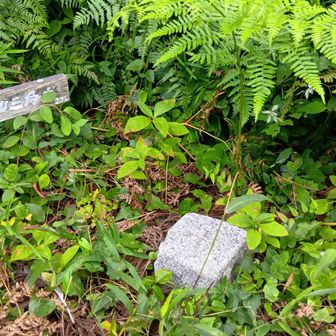 二本松山山頂の三角点。二本松山古墳の最も高い位置、「二本松」に守られるようにひっそりとありました。
