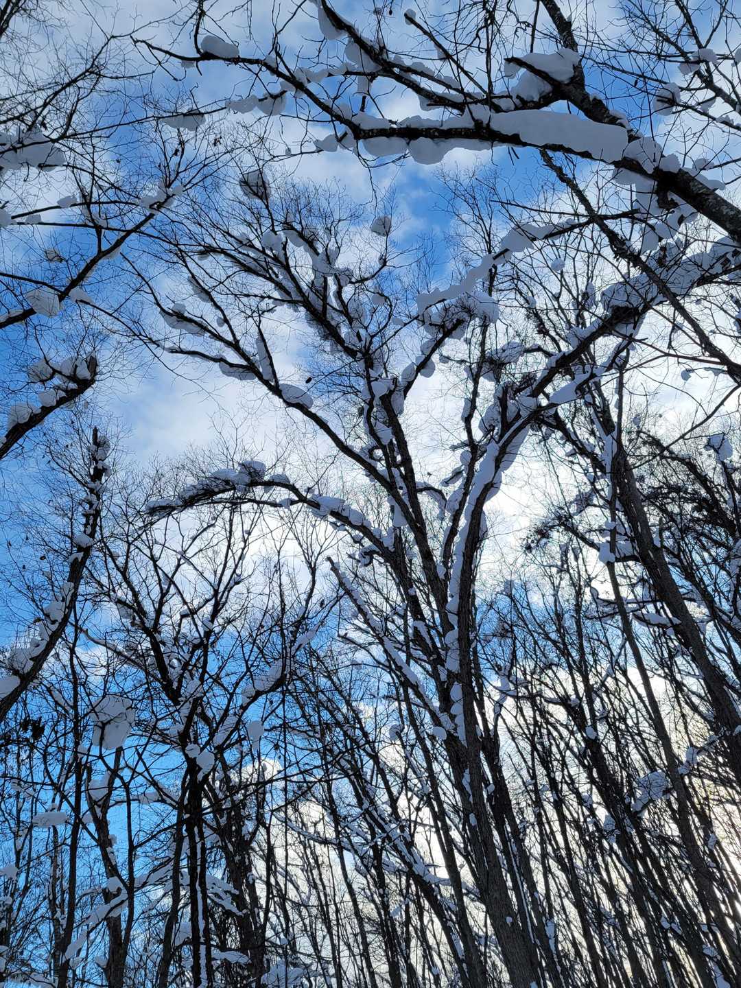空と雲
キレイ