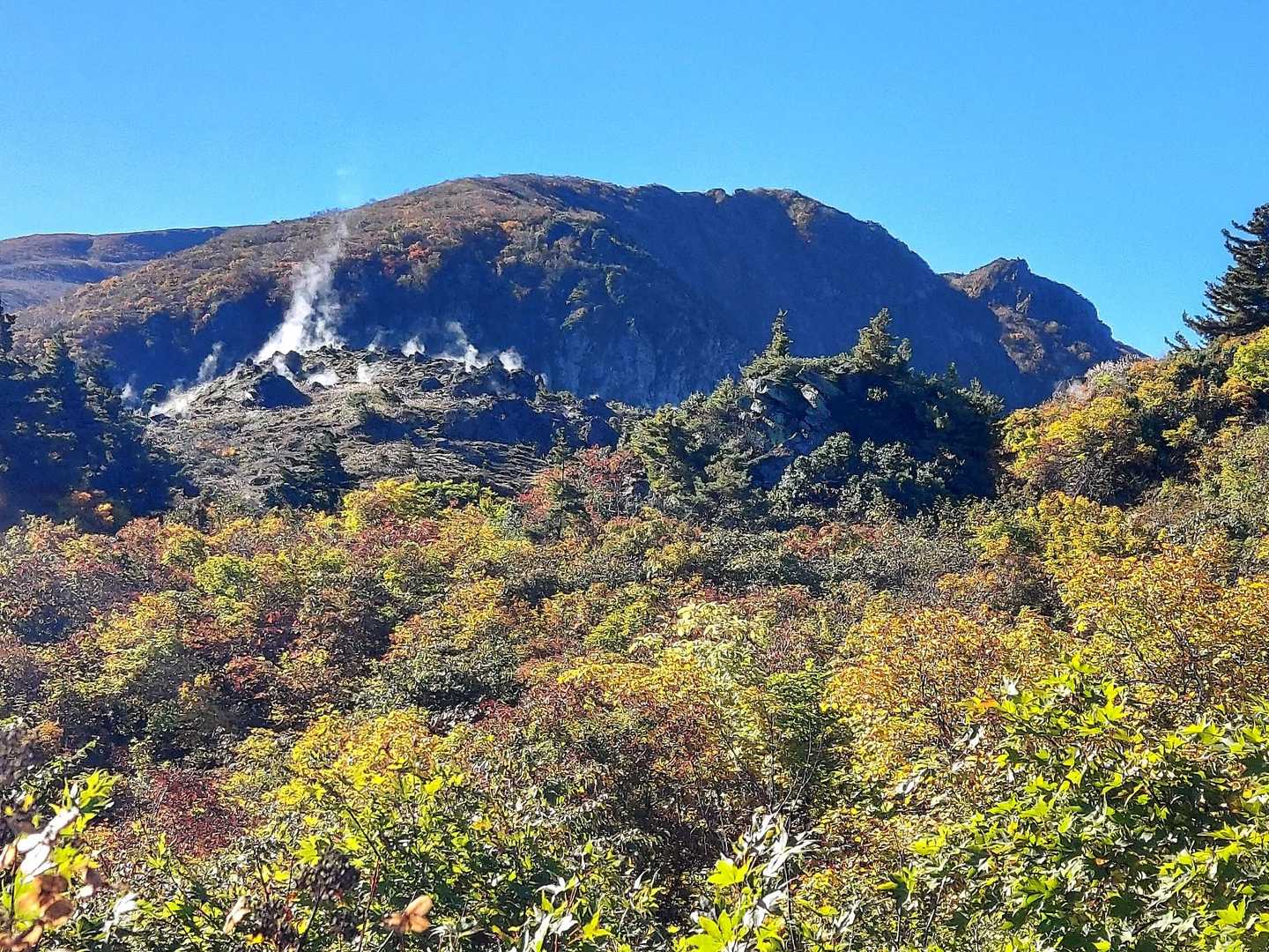 ゆげ山からはモクモク白い湯気
