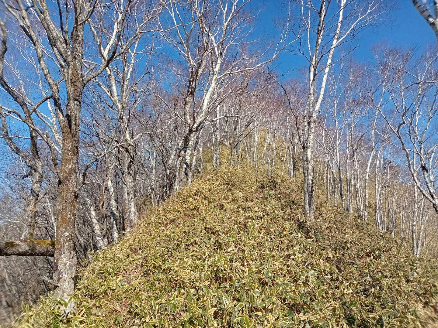 ふくらはぎ伸びる〜