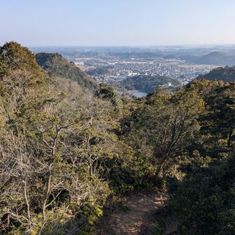 関富士や亀山の街が見える