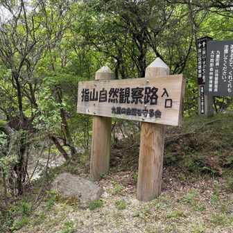 では行くよ😊