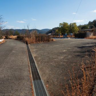 駐車場に下りてきた