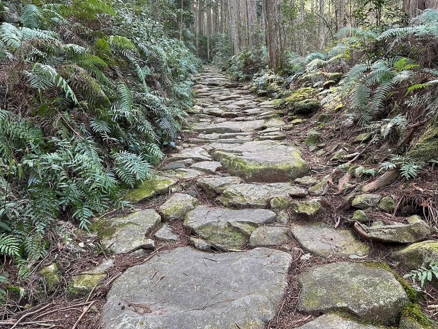 熊野古道らしい石畳