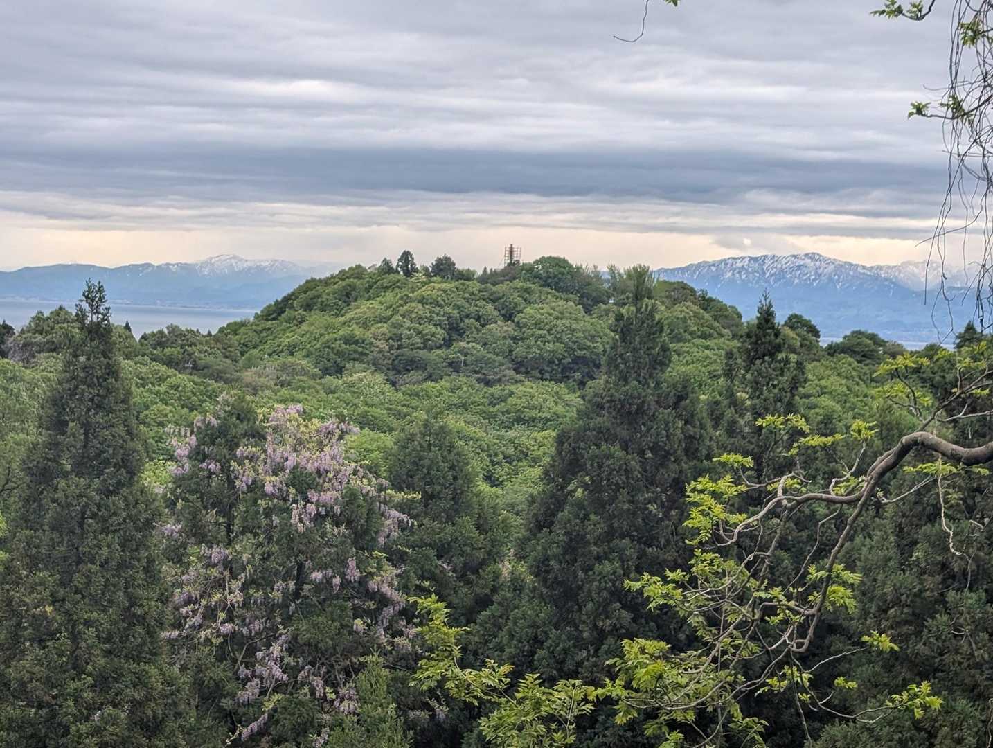 鉢伏山頂が遠くに見えるが、そうでもない。