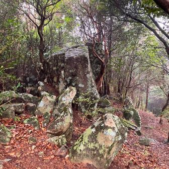 国境石ありました