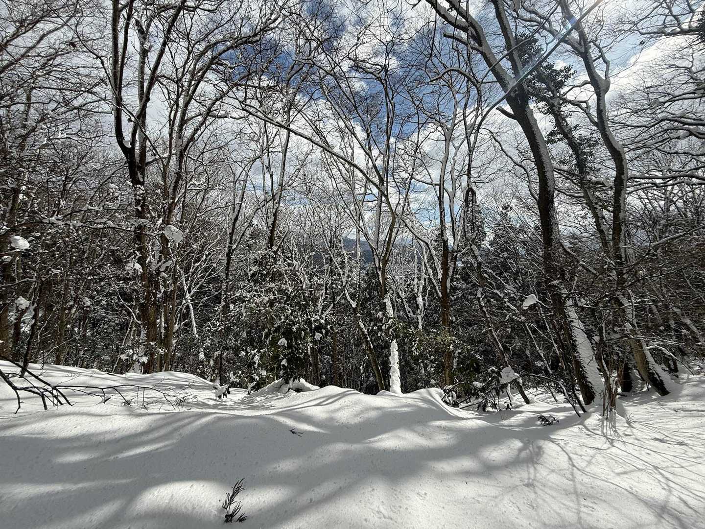 賤ヶ岳 往復コースの写真
