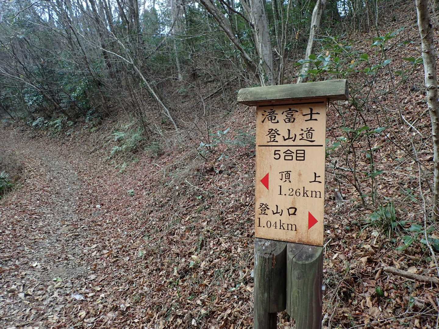 早くも５号目