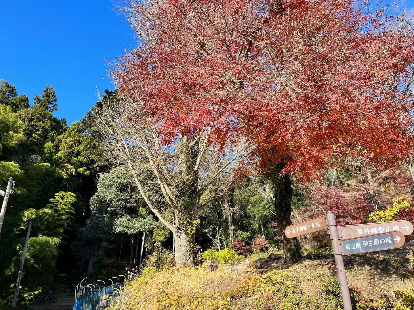 八王子城跡管理棟-天守閣跡-北高尾富士見台 周回コースの写真