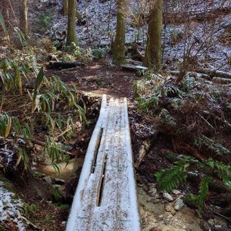 金剛山・二上山・大和葛城山 馬の背分岐の先の丸太橋は
うっすら白い❄