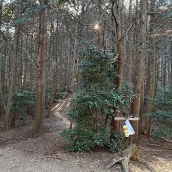 下りは右へ。今回は正面の女山へ寄り道。少し登ったらすぐ着きます