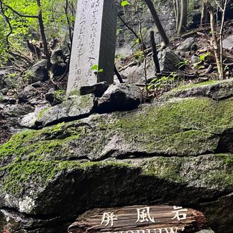 ここは右コースを進みます➡️