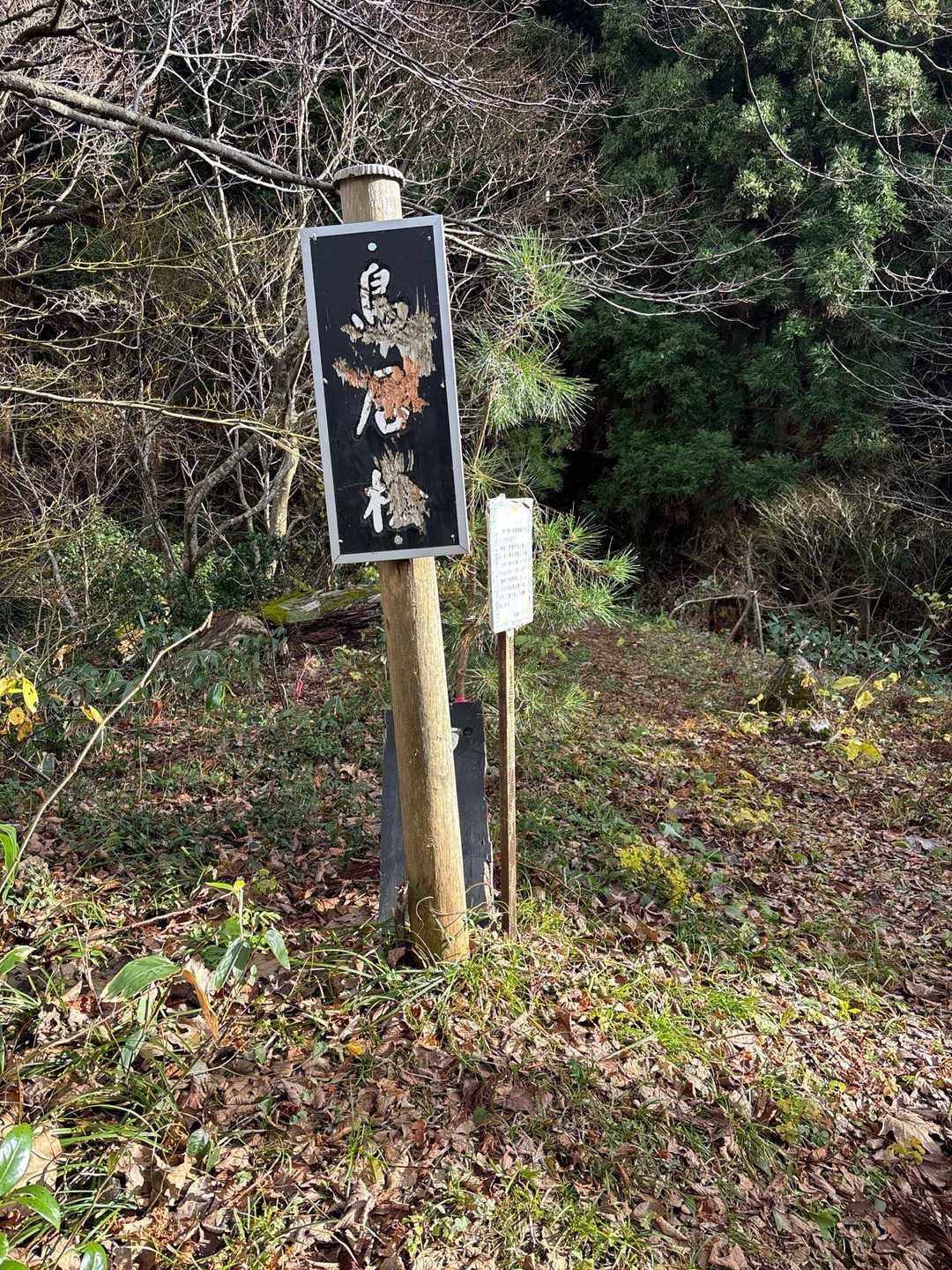 クマさんのイタズラですな。