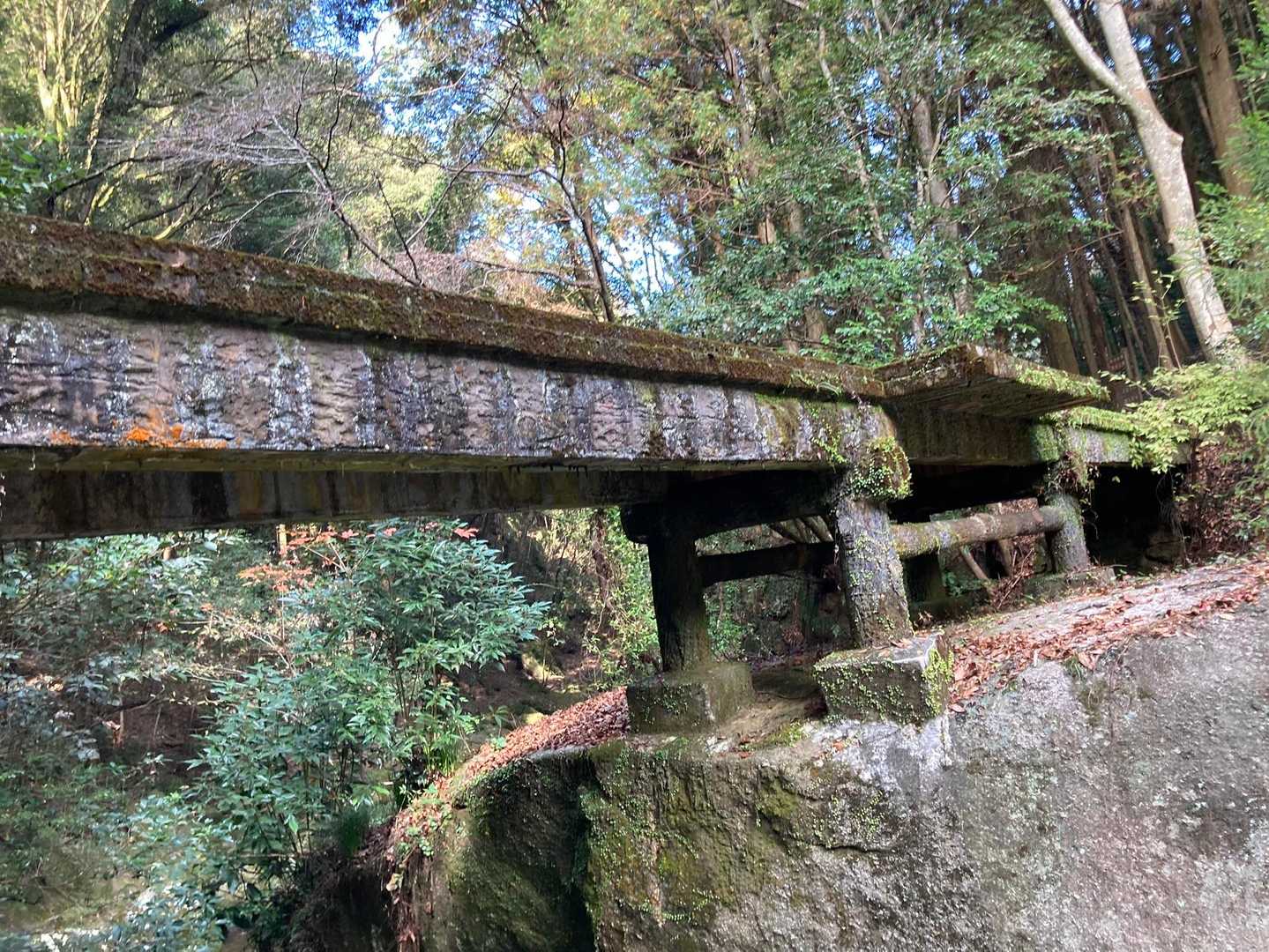 王滝渓谷入口-梟ヶ城址展望台-天下峯 周回コースの写真