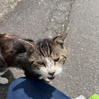 目つき悪いし、爪がメッチャ痛かったです