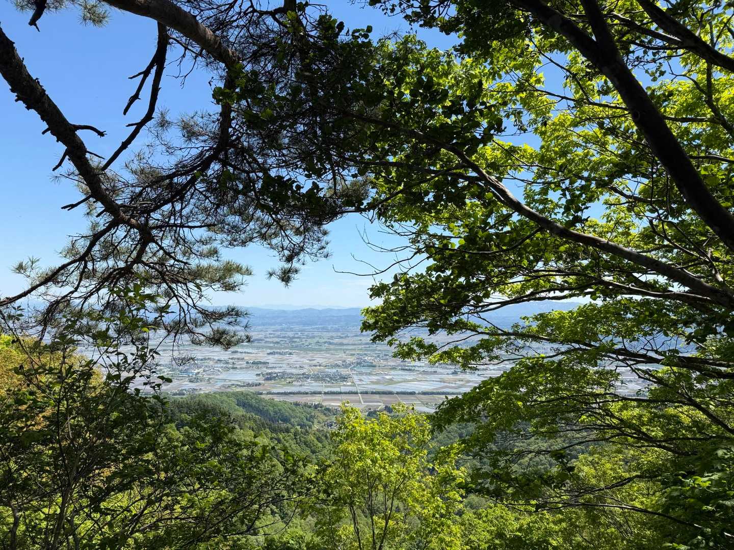 青龍寺登山口-金峯山-鎧ヶ峰 周回コースの写真