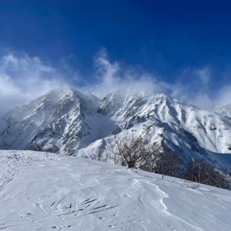 杓子岳の尾根沿い、素晴らしいルートを発見！