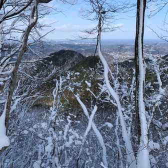 ココはわかりやすい