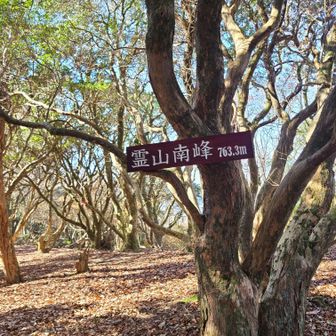 振り向くと、さらにステキなプレート😍