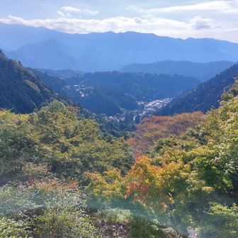 ここは裏参道の絶景スポット🙌