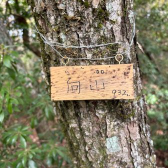 本日七座目、鈴鹿３００座・向山